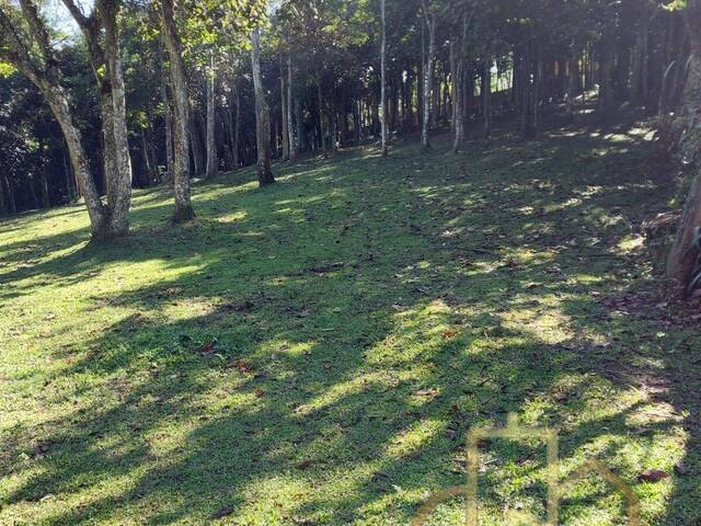 #TE024 - Área para Venda em São Bernardo do Campo - SP - 3