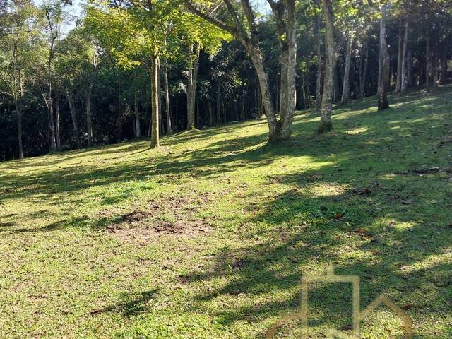 #TE024 - Área para Venda em São Bernardo do Campo - SP - 1