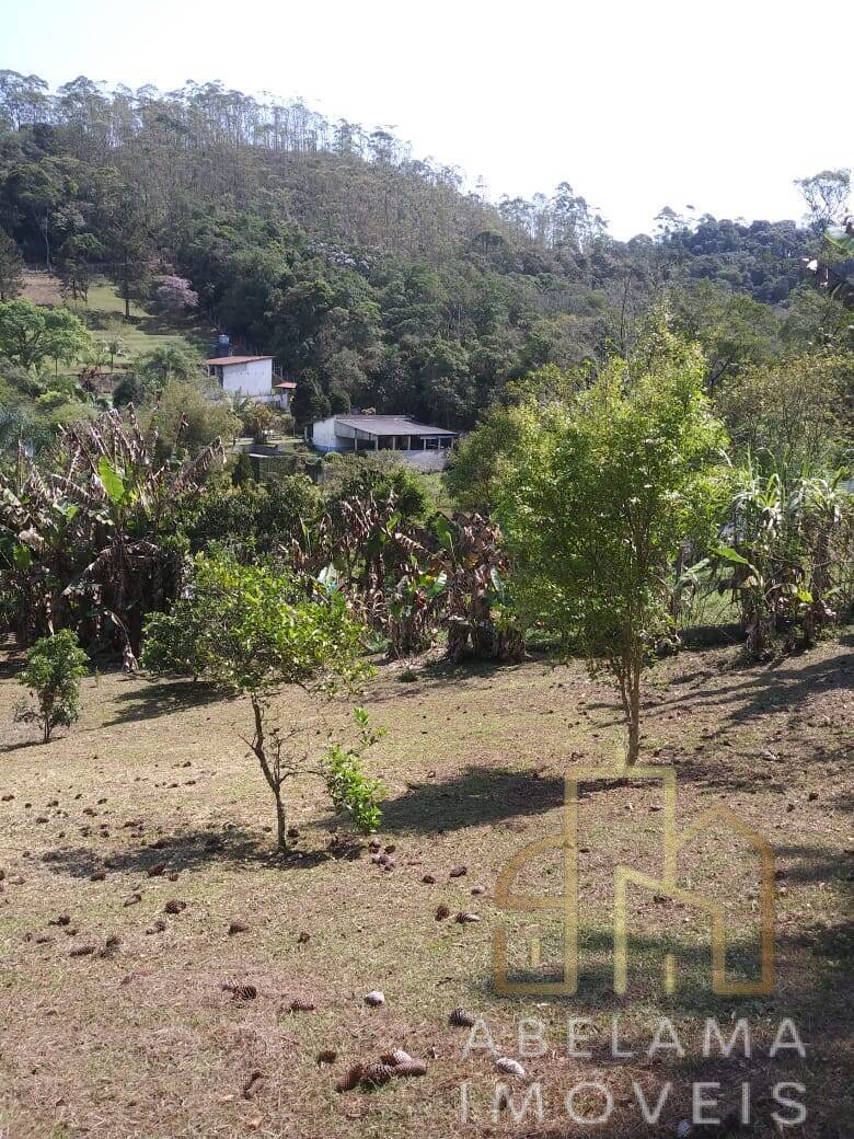 Fazenda à venda com 2 quartos, 6250m² - Foto 34