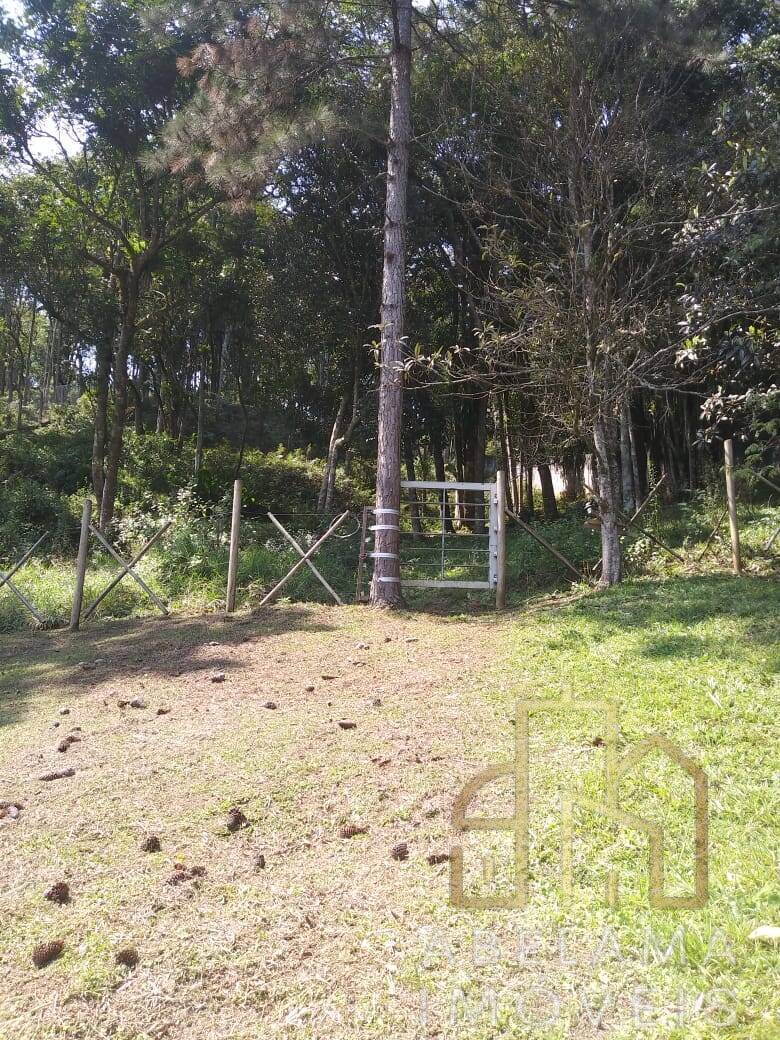 Fazenda à venda com 2 quartos, 6250m² - Foto 35