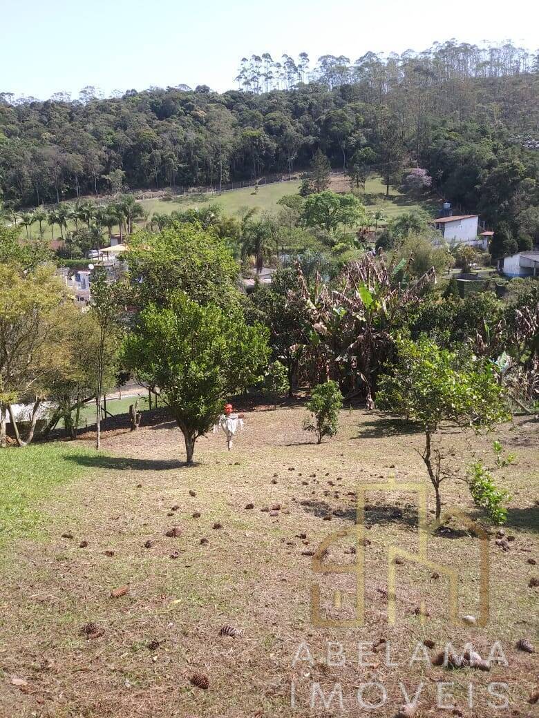 Fazenda à venda com 2 quartos, 6250m² - Foto 36