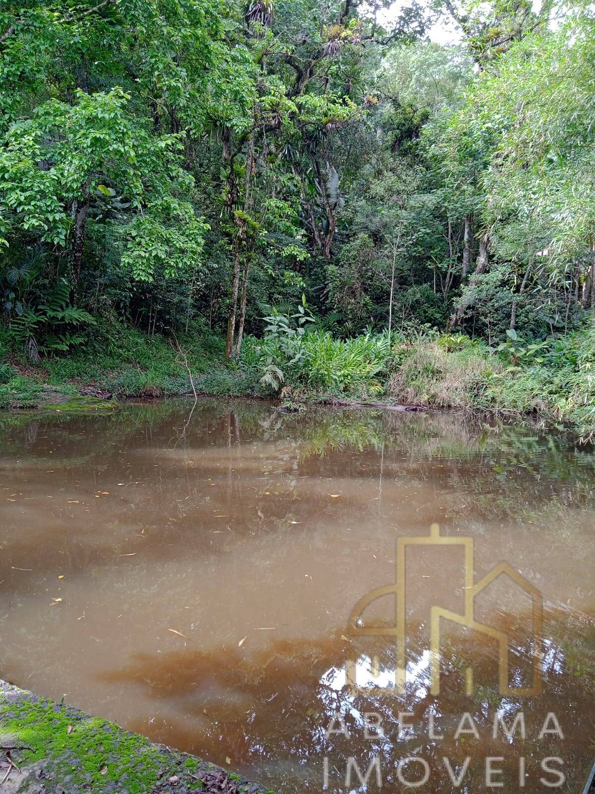 Fazenda à venda e temporada com 4 quartos, 39000m² - Foto 3