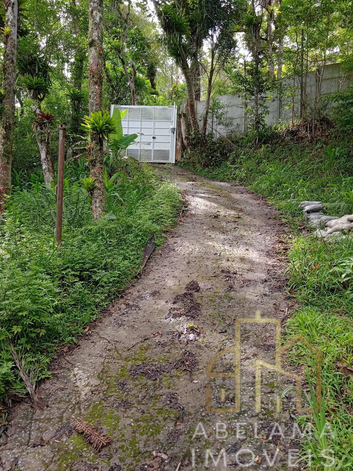 Fazenda à venda e temporada com 4 quartos, 39000m² - Foto 1