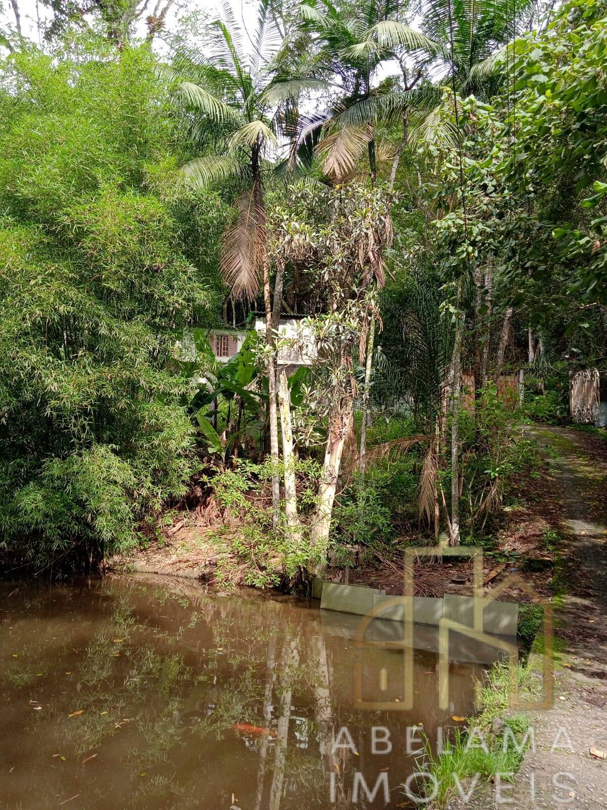 Fazenda à venda e temporada com 4 quartos, 39000m² - Foto 2