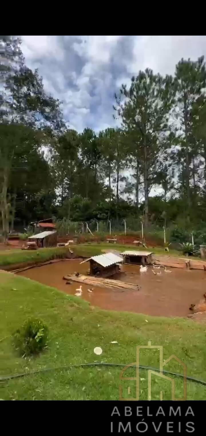 Fazenda à venda com 3 quartos, 10200m² - Foto 10