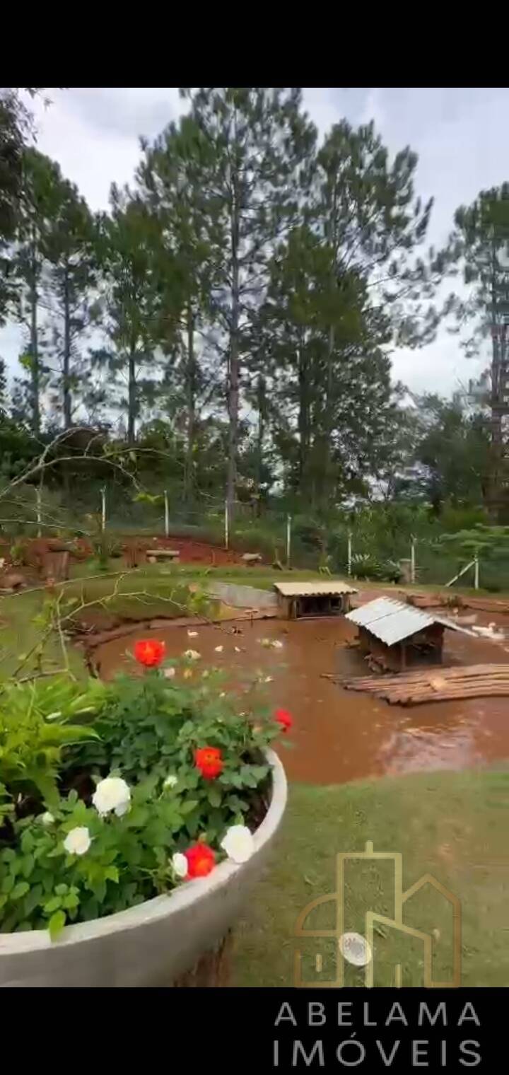 Fazenda à venda com 3 quartos, 10200m² - Foto 11