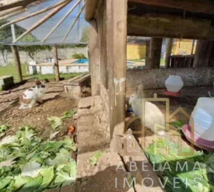 Fazenda à venda com 2 quartos, 4250m² - Foto 9