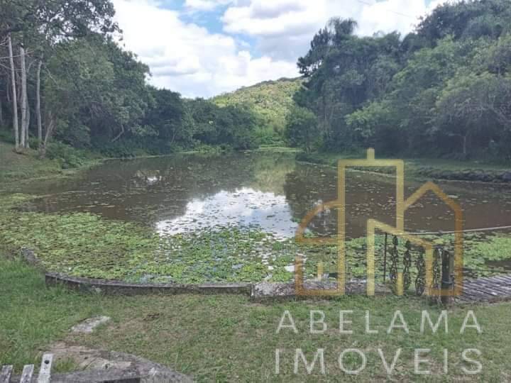 Fazenda à venda com 3 quartos, 28000m² - Foto 13