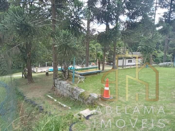 Fazenda à venda com 3 quartos, 28000m² - Foto 4