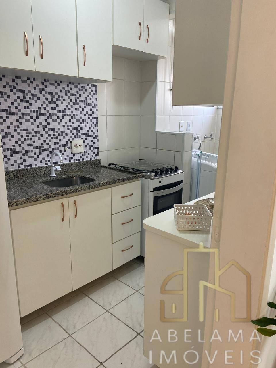 Apartamento à venda e aluguel com 3 quartos, 59m² - Foto 14