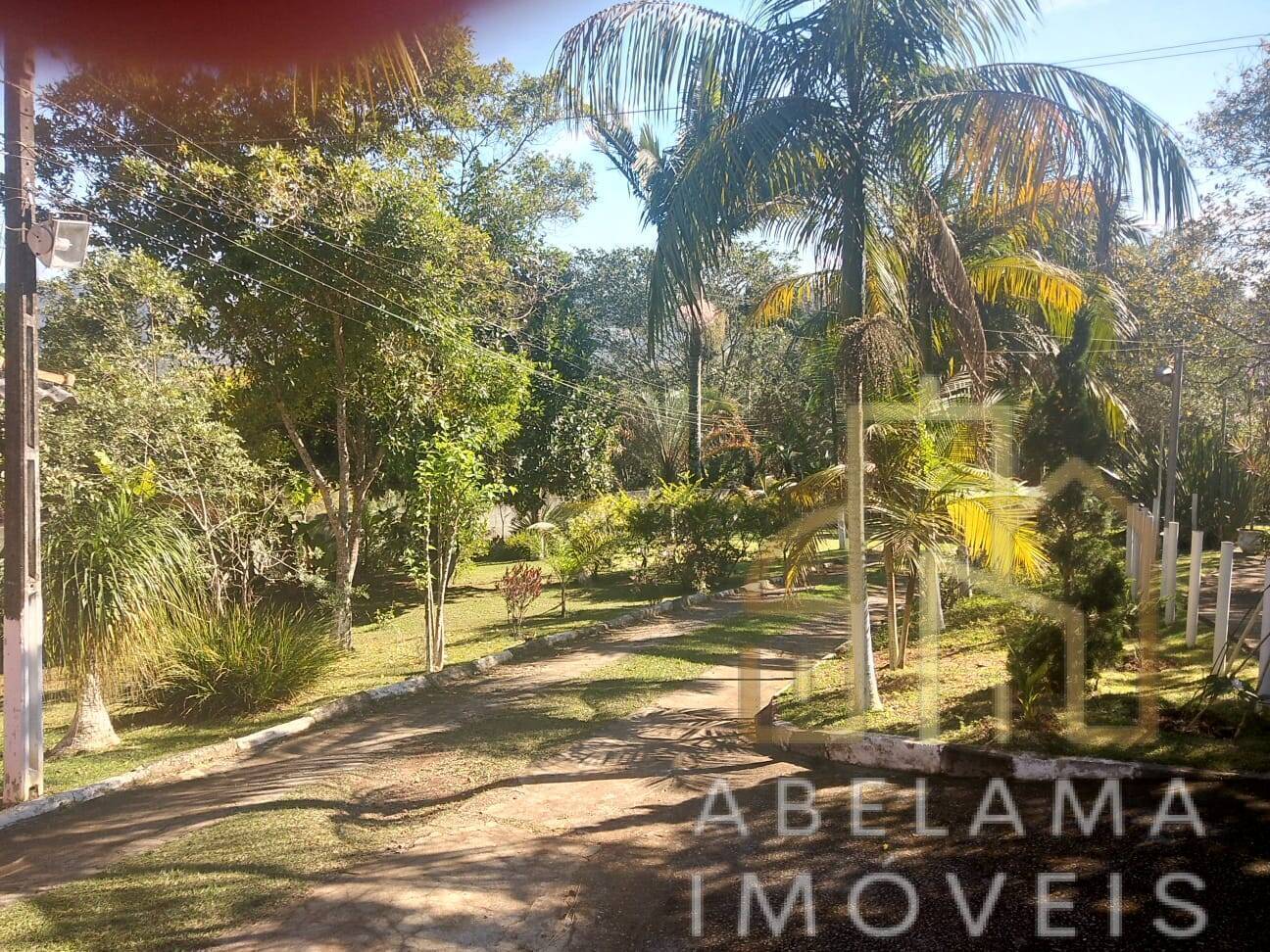 Fazenda à venda com 4 quartos, 8000m² - Foto 38